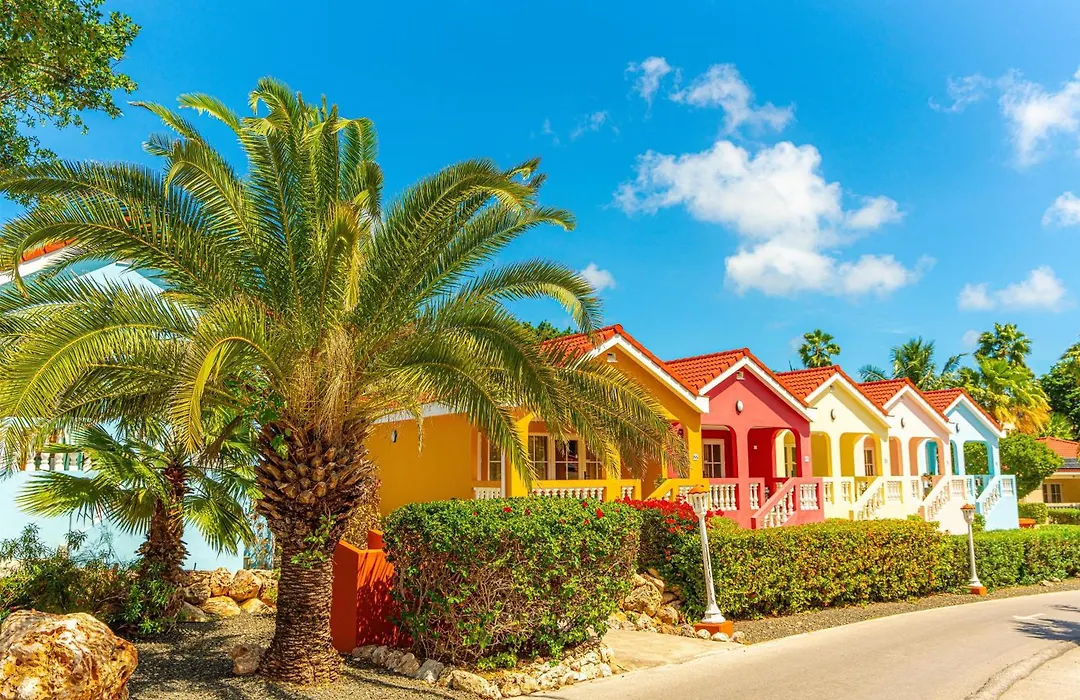 Sonesta Hotels & Resorts Livingstone Curacao-1